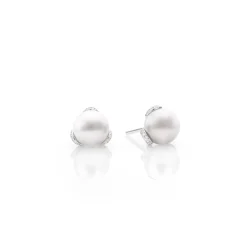 Embrace Akoya Pearl Earrings in 18K White Gold